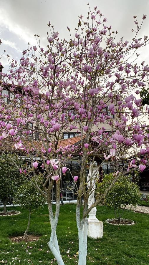 Park Ashik Hotel Ljaknasi Екстериор снимка